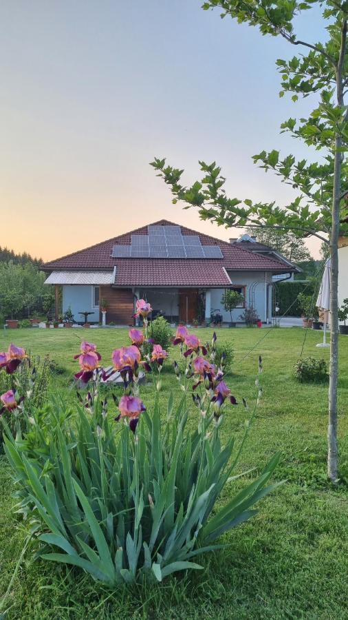 Northwest Studio Apartments Klagenfurt am Woerthersee Екстер'єр фото