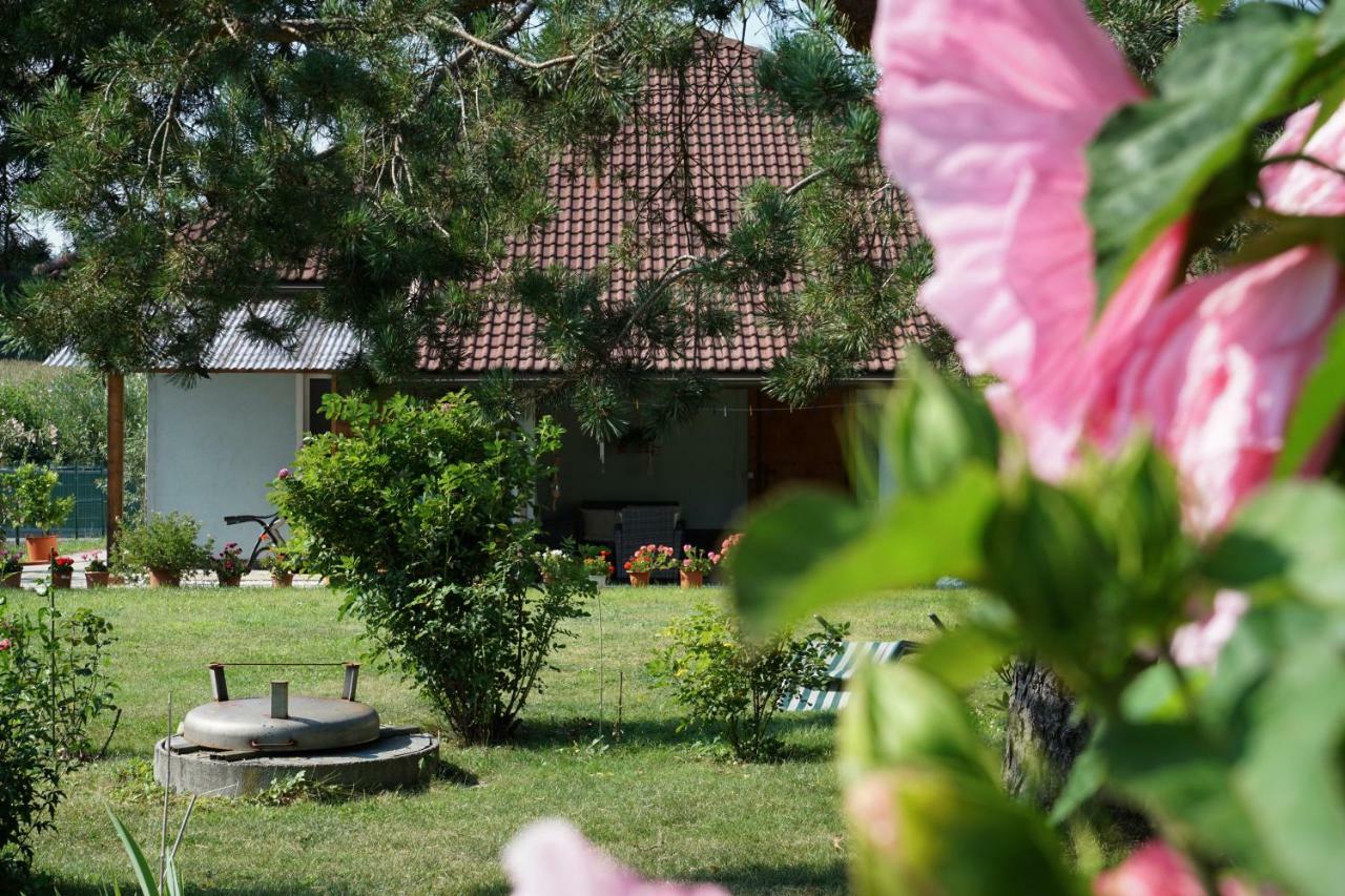 Northwest Studio Apartments Klagenfurt am Woerthersee Екстер'єр фото