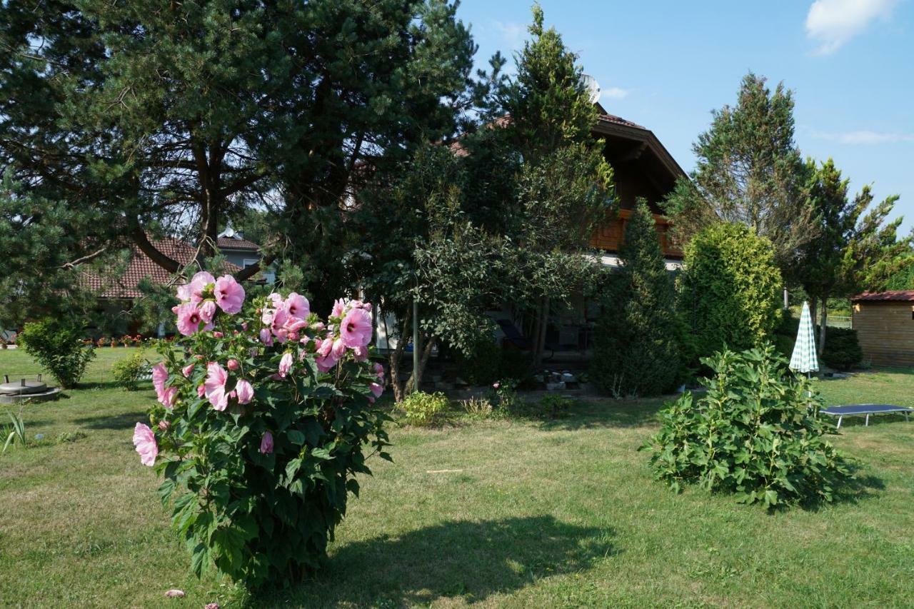 Northwest Studio Apartments Klagenfurt am Woerthersee Екстер'єр фото